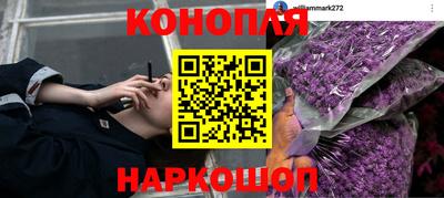 ПСИЛОЦИБИНОВЫЕ ГРИБЫ Гусиноозёрск