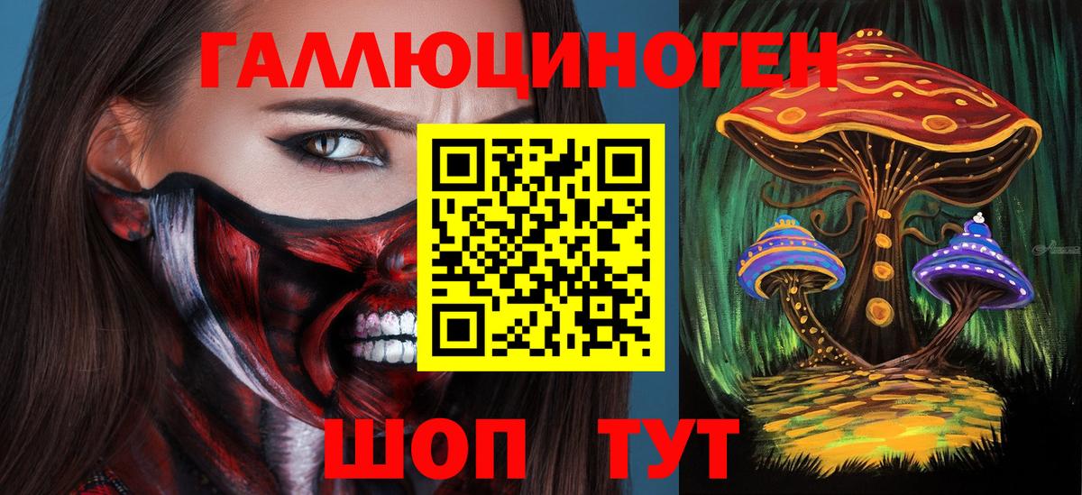 Псилоцибиновые грибы Psilocybine cubensis  Галлюциногенные грибы прущие грибы  Назарово  Вход с VPN 